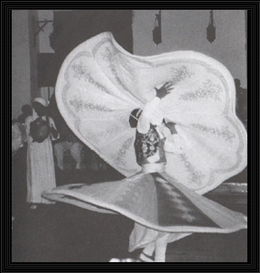 Whirling Dervish Image
